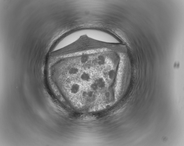 X0000093100491200710241224