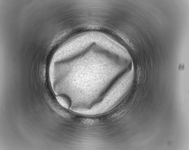 X0000093100494200710241224