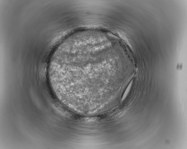 X0000093100495200710241224