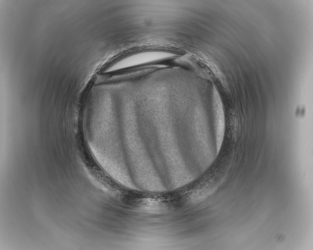 X0000093100496200710241224