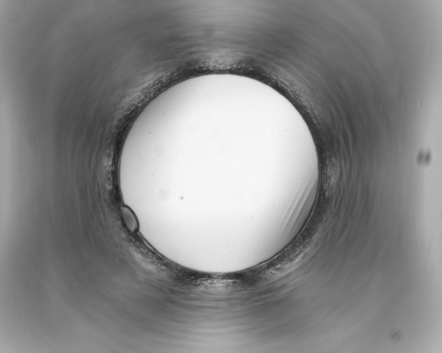 X0000093100497200710241224