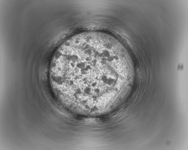 X0000093100499200710241224