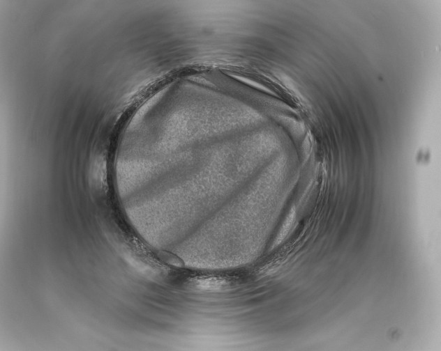 X0000093100500200710241224