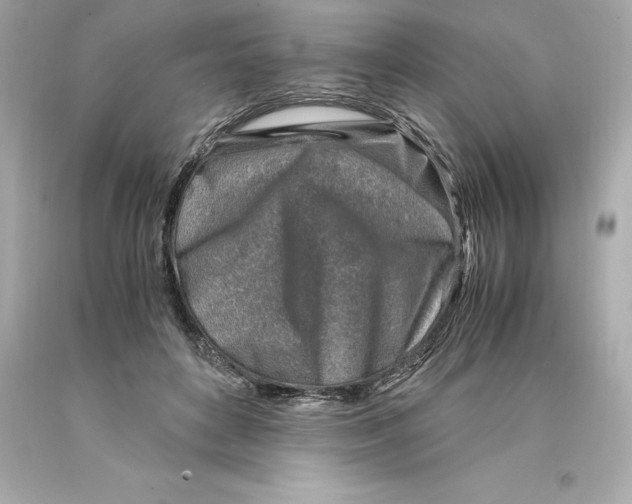 X0000093100504200710241224