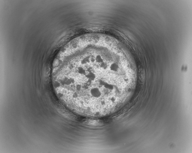 X0000093100507200710241224