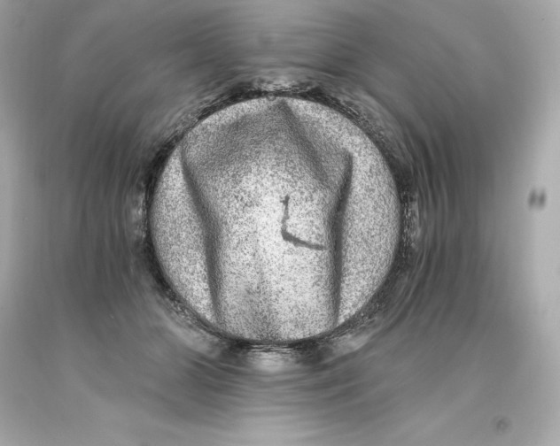 X0000093100510200710241224