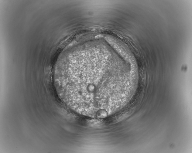 X0000093100511200710241224