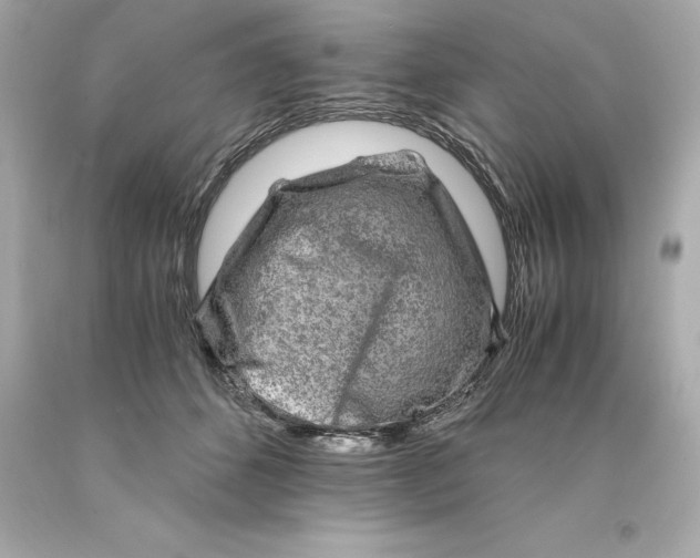 X0000093100512200710241224