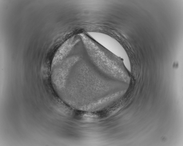 X0000093100515200710241223