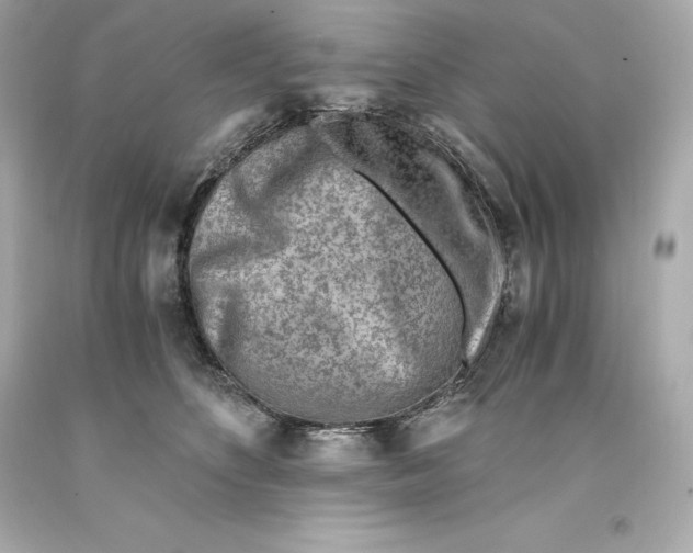 X0000093100516200710241223