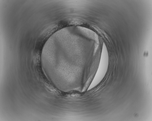 X0000093100517200710241223