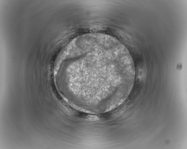 X0000093100519200710241223