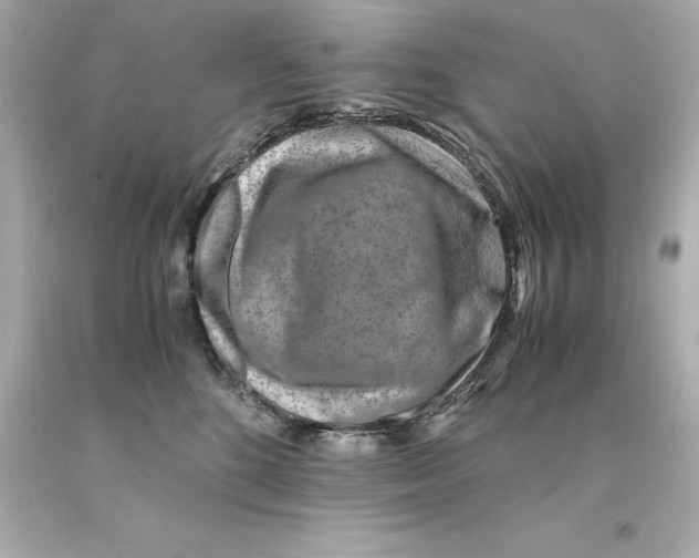 X0000093100520200710241223