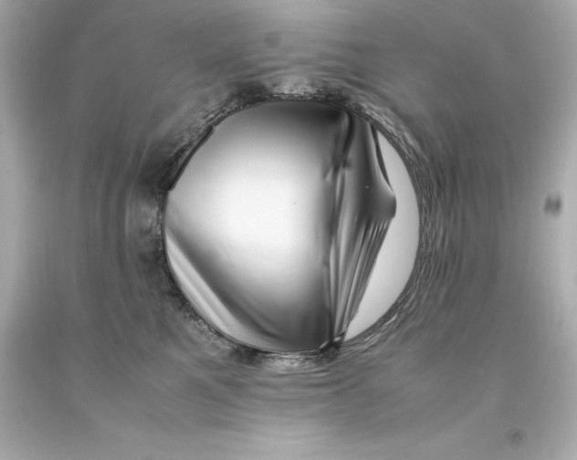 X0000093100521200710241223