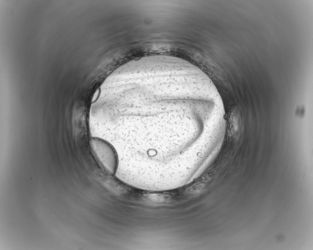 X0000093100522200710241223