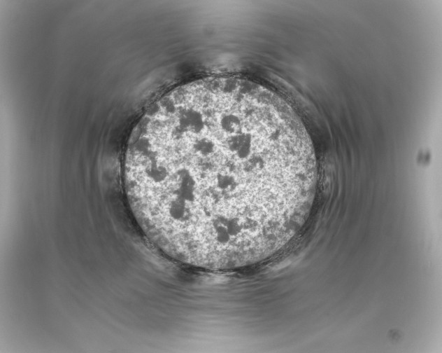 X0000093100523200710241223