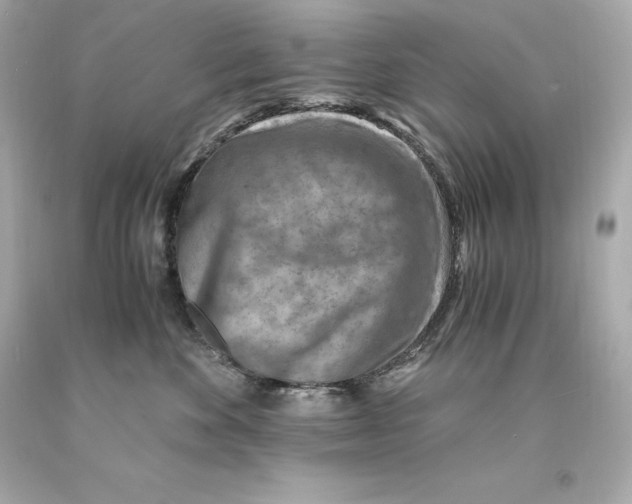 X0000093100524200710241223