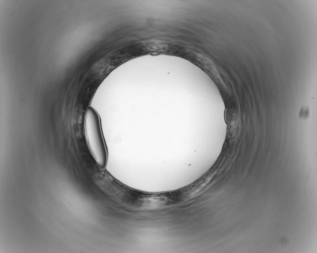 X0000093100525200710241223