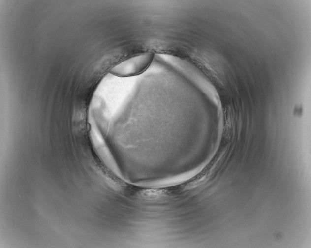 X0000093100526200710241223