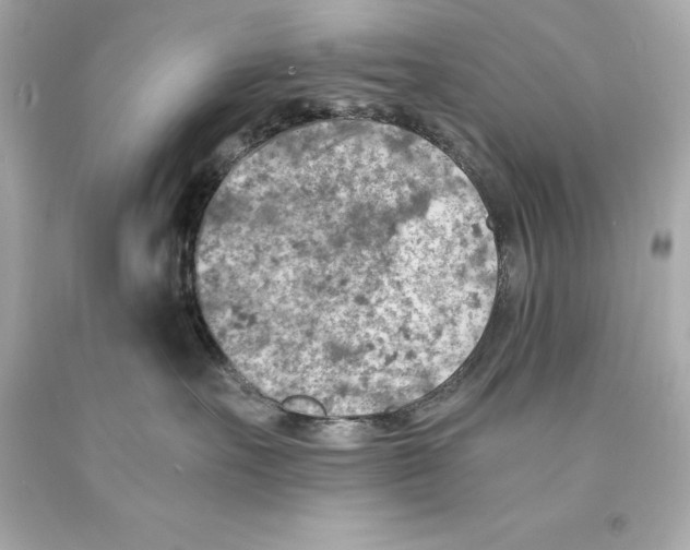 X0000093100527200710241223