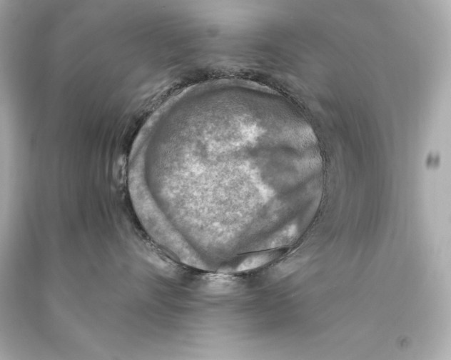 X0000093100528200710241223