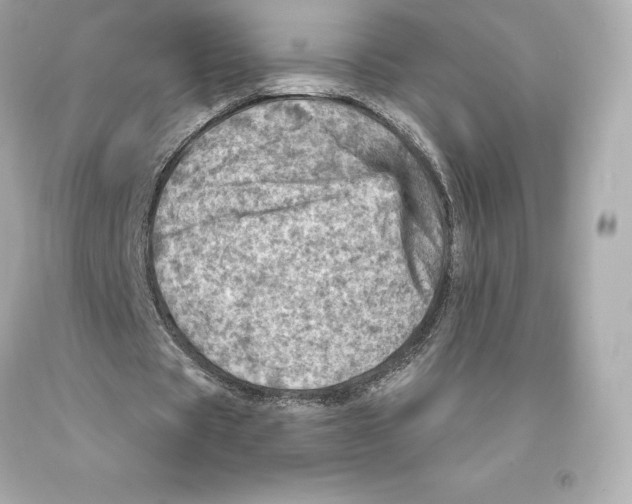 X0000093100529200710241223