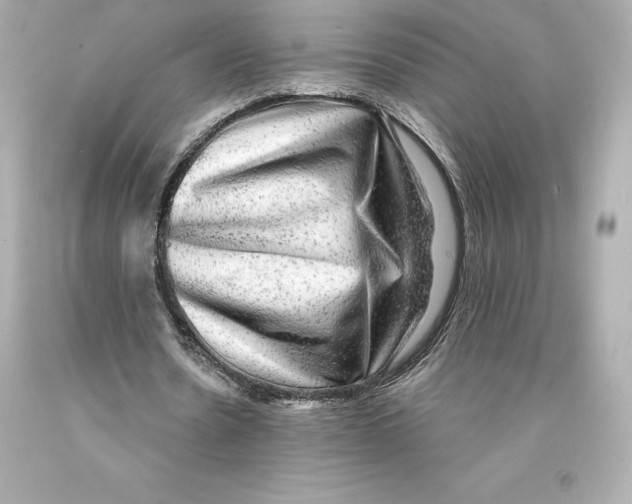 X0000093100530200710241223