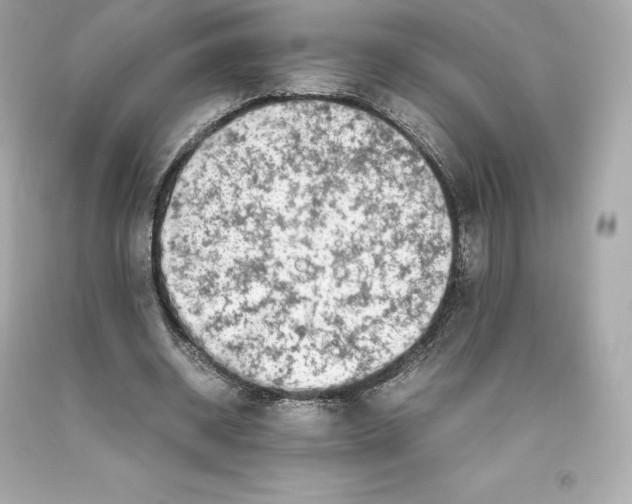 X0000093100534200710241223