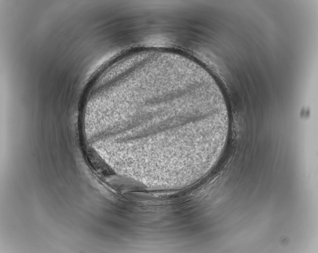 X0000093100535200710241223