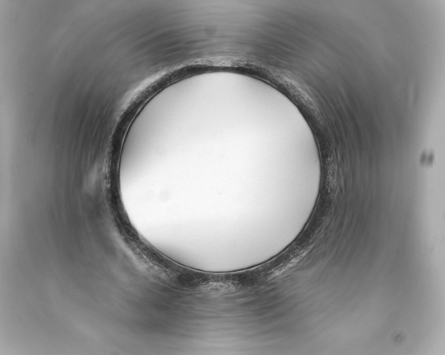 X0000093100536200710241223