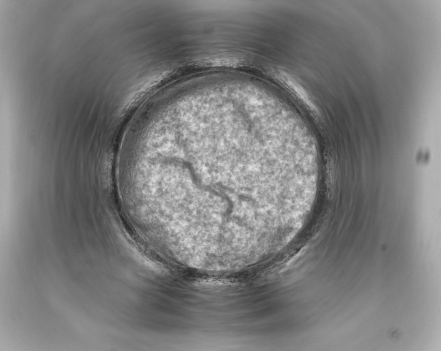 X0000093100537200710241223