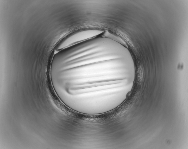 X0000093100538200710241223