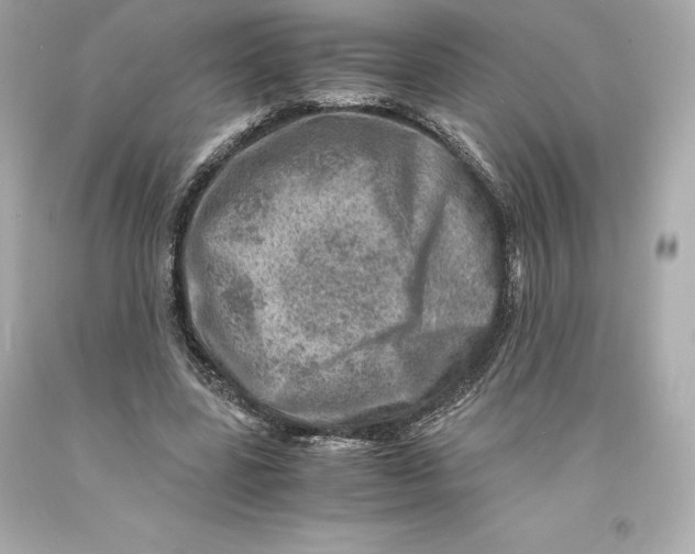 X0000093100539200710241223