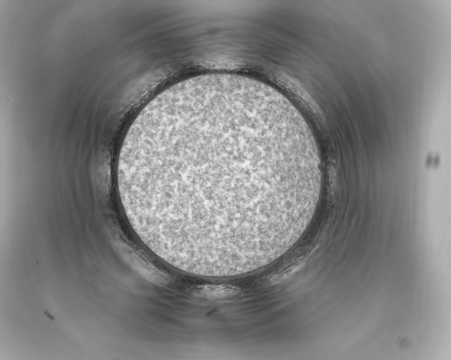 X0000093100541200710241223