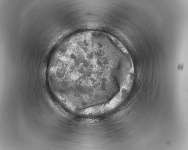 X0000093100542200710241223