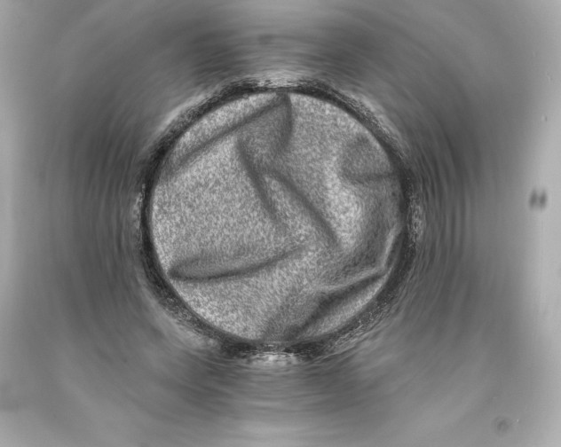 X0000093100543200710241223