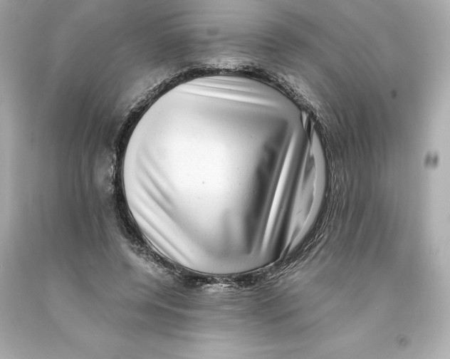 X0000093100544200710241223