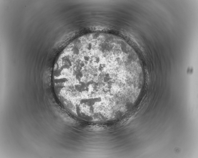 X0000093100545200710241223