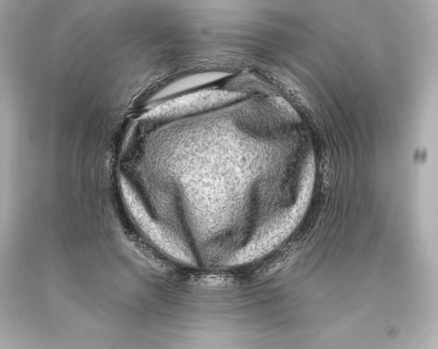 X0000093100546200710241223