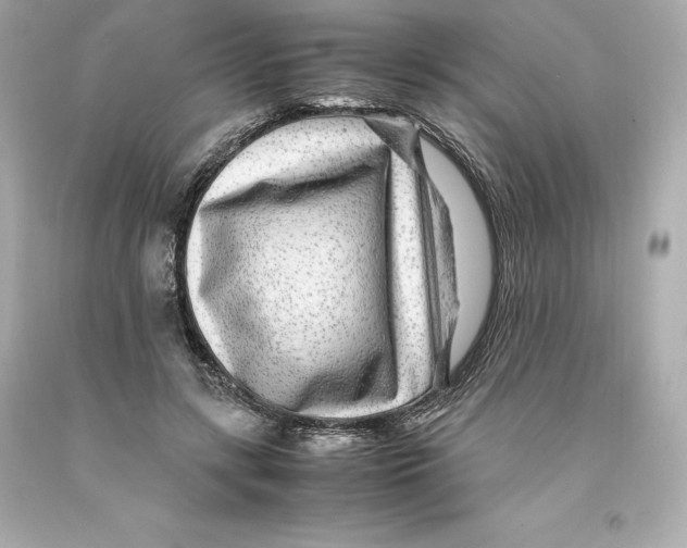 X0000093100547200710241223