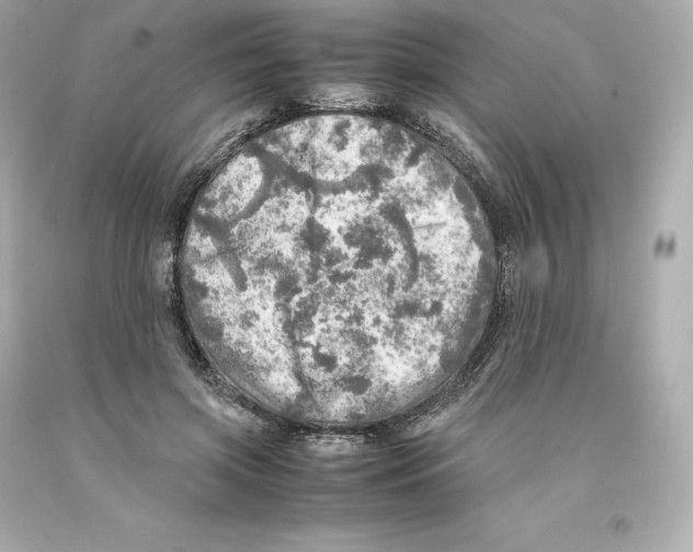 X0000093100549200710241223