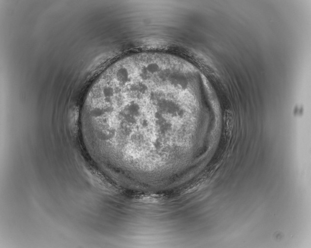 X0000093100550200710241223