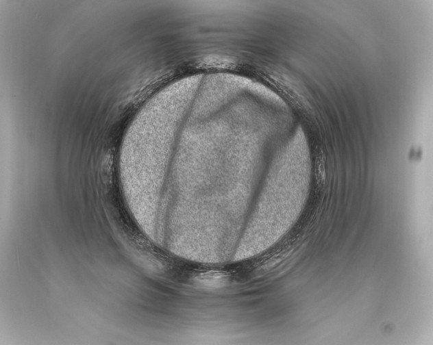 X0000093100551200710241223