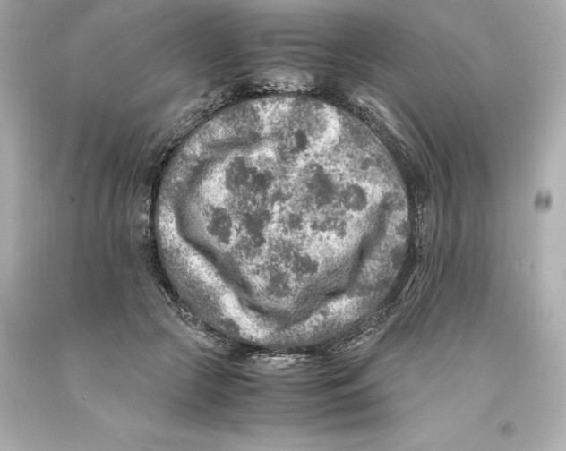 X0000093100553200710241223