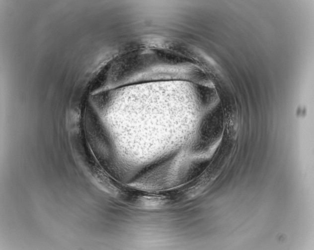 X0000093100556200710241223