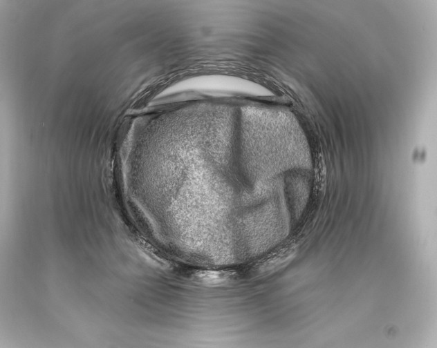 X0000093100558200710241223