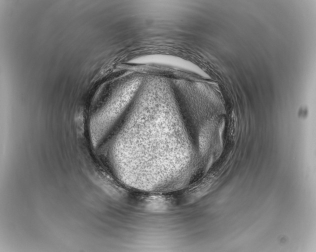 X0000093100562200710241223