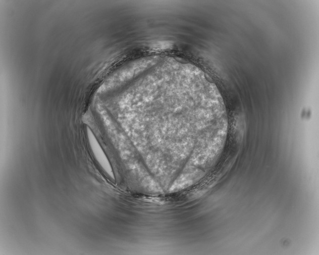 X0000093100565200710241223