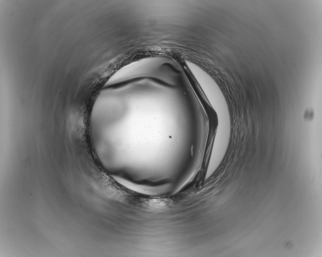 X0000093100566200710241223