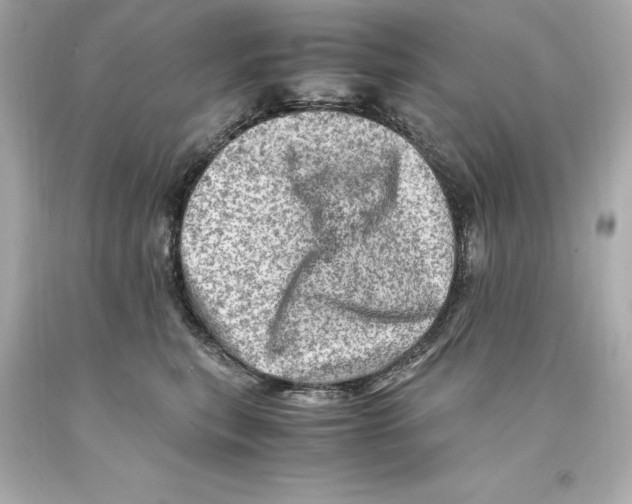 X0000093100567200710241223